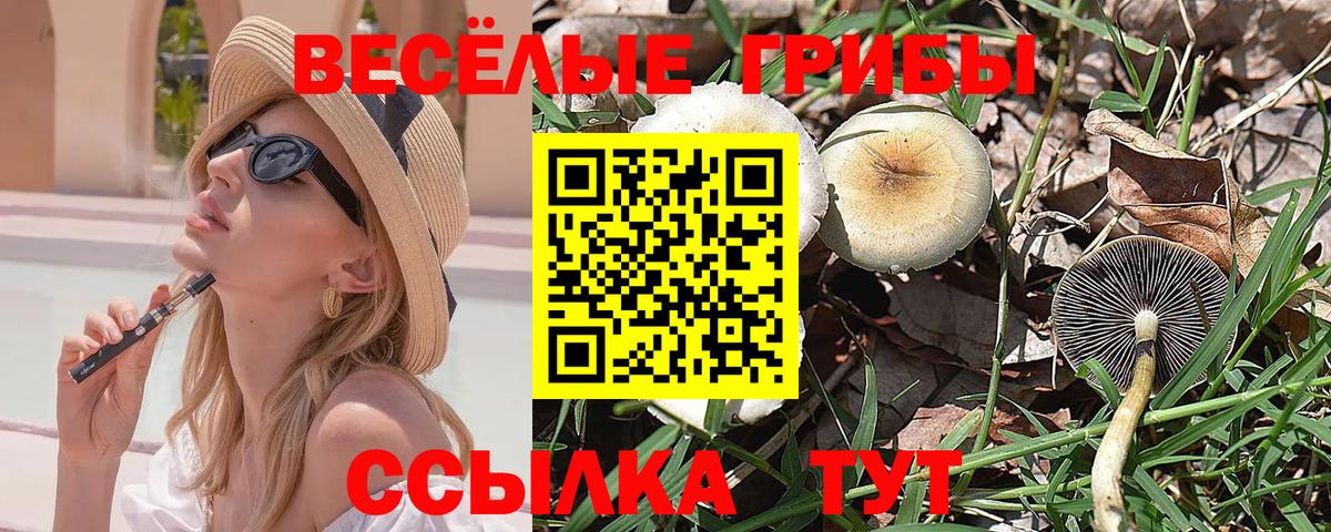 Галлюциногенные грибы Cubensis Амурск