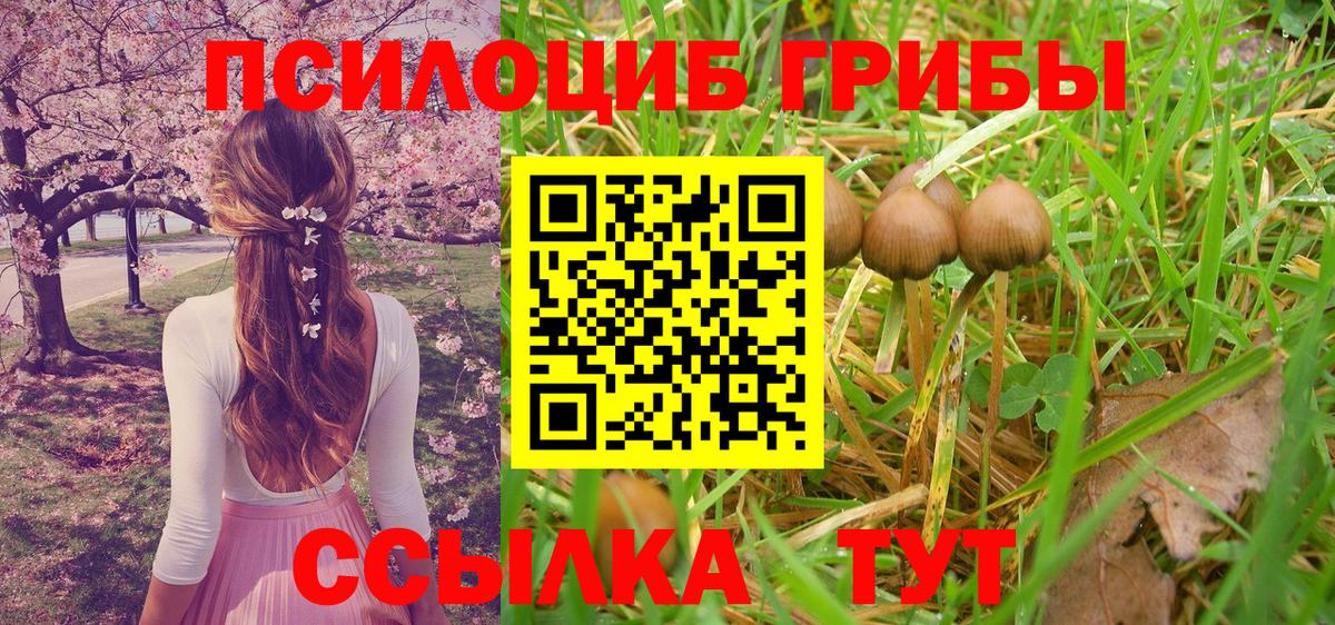 Амурск  Галлюциногенные грибы Psilocybe  Вход с VPN  Галлюциногенные грибы GOLDEN TEACHER 
